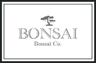Bonsai