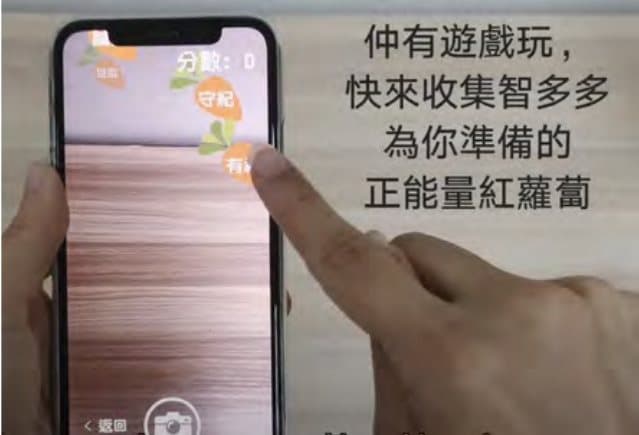 廉政公署項目圖片 10