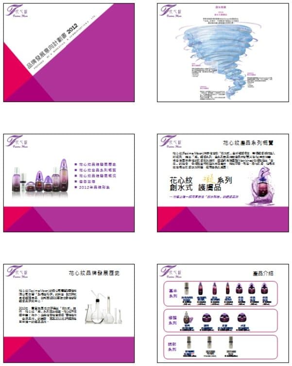 Faxime Moon — market research and 2012 brand development plan